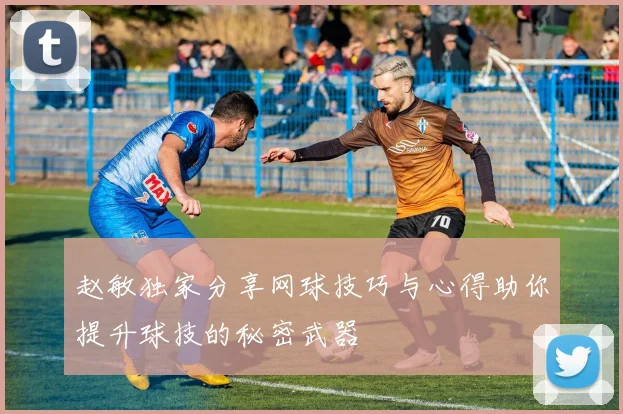 赵敏独家分享网球技巧与心得助你提升球技的秘密武器
