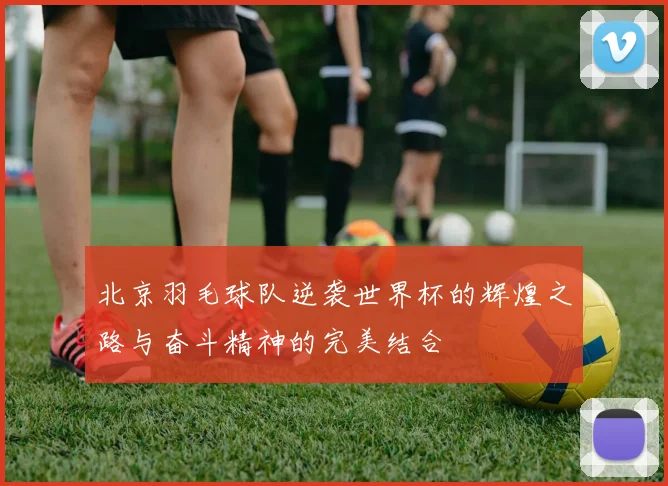 北京羽毛球队逆袭世界杯的辉煌之路与奋斗精神的完美结合