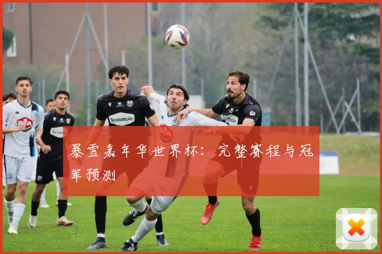 暴雪嘉年华世界杯：完整赛程与冠军预测